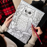 LBKHOUSE Christmas Owls Spiral Bound Coloring Book for Adult
