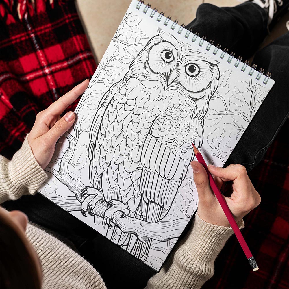 LBKHOUSE Christmas Owls Spiral Bound Coloring Book for Adult