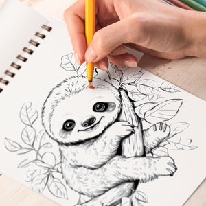 Chillout Sloth Spiral Bound Coloring Book, Unleash Your Creativity with 30 Chilled-out Sloth Coloring Pages for a Relaxing and Inspiring Coloring Adventure