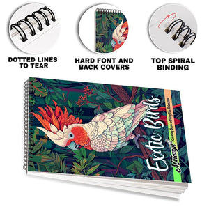 MOTAVYN Exotic Birds Coloring Sheets for Adults