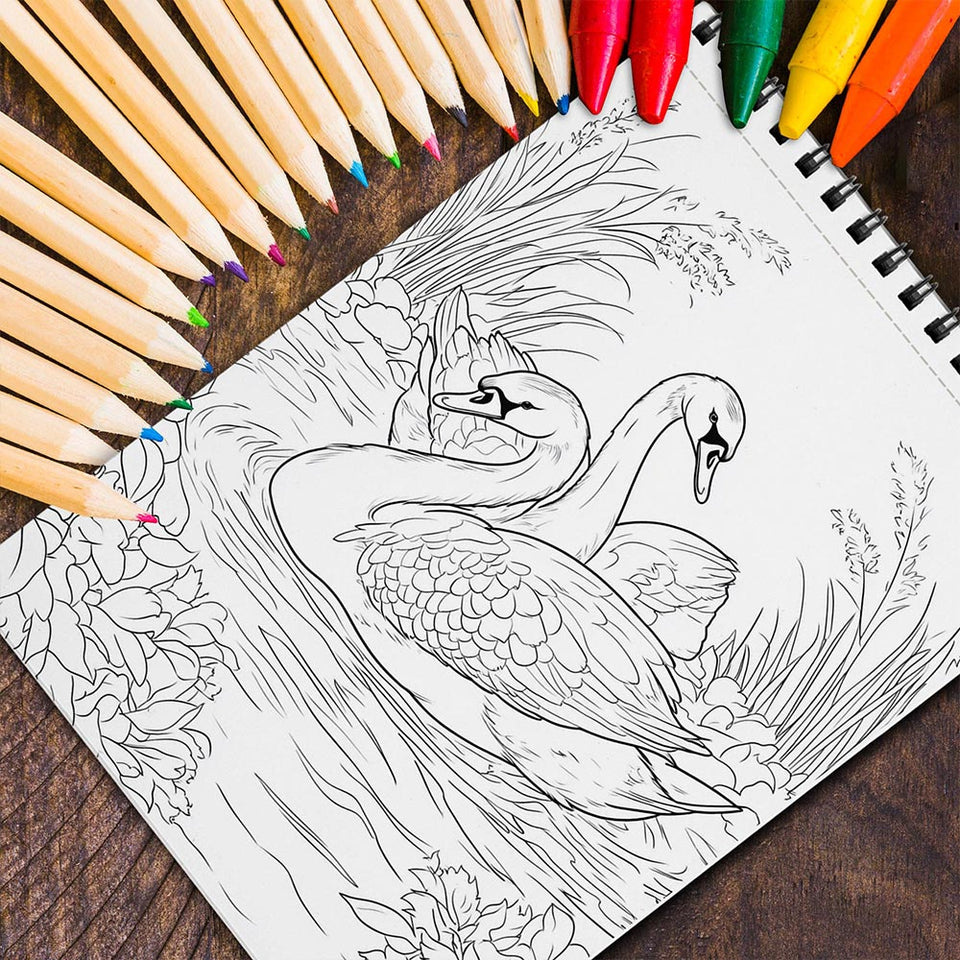 MOTAVYN Love Birds Spiral Coloring Book for Adults