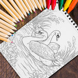 MOTAVYN Love Birds Spiral Coloring Book for Adults