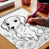 Netecom Dachshund Spiral Bound Coloring Book for Adults