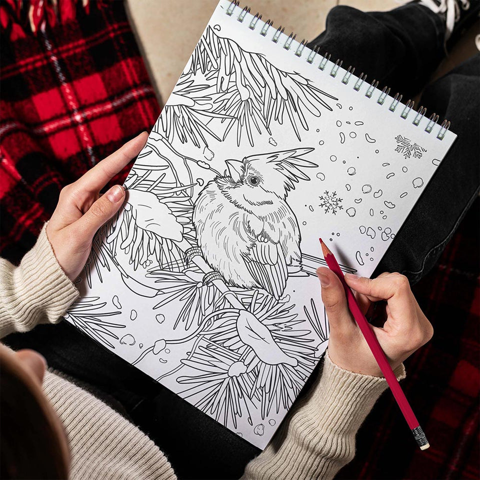 TPLHOUSE Christmas Birdy Spiral Bound Coloring Book for Adult