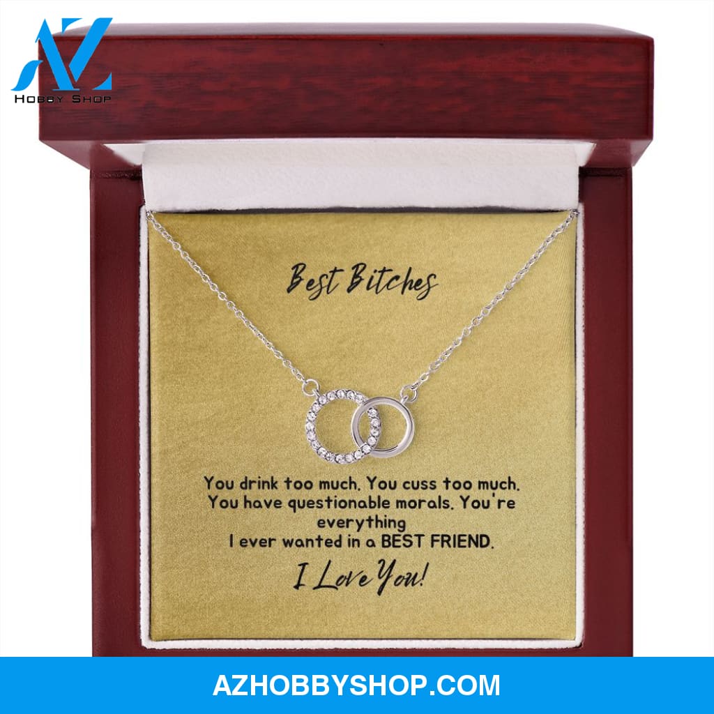Best Bitches - Best Friend - Perfect Pair Silver Necklace