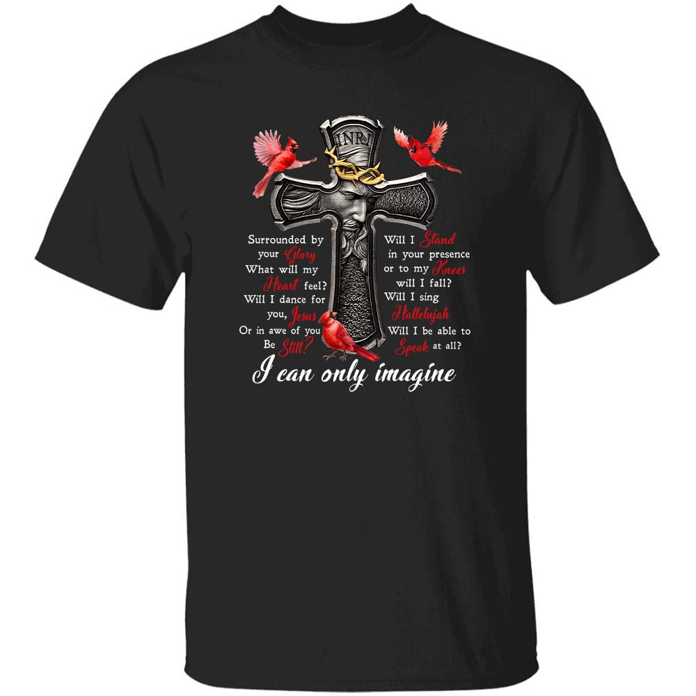 Cardinal and the cross - I can only imagine seeing you my lord Apparel