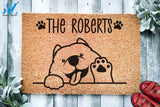 Cute Samoyed Personalized Doormat Bjelkier Dog Custom Doormat Welcome Mat Housewarming Last Name Doormat