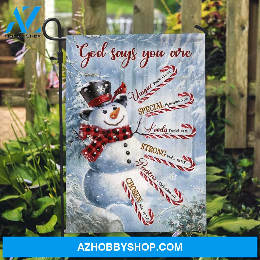 Cute snowman, Candy cane drawing, Snow forest, Red cardinal, God says you are - Jesus Flag
