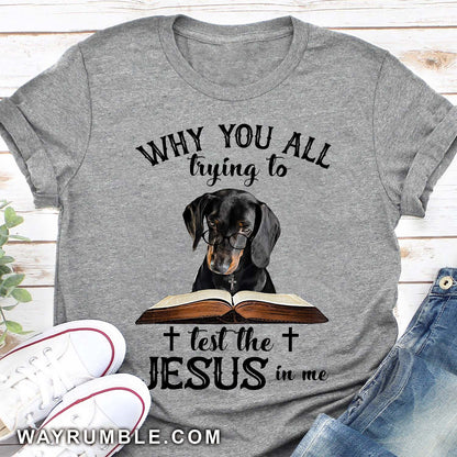 Dachshund - Why you all trying to test the Jesus in me Apparel