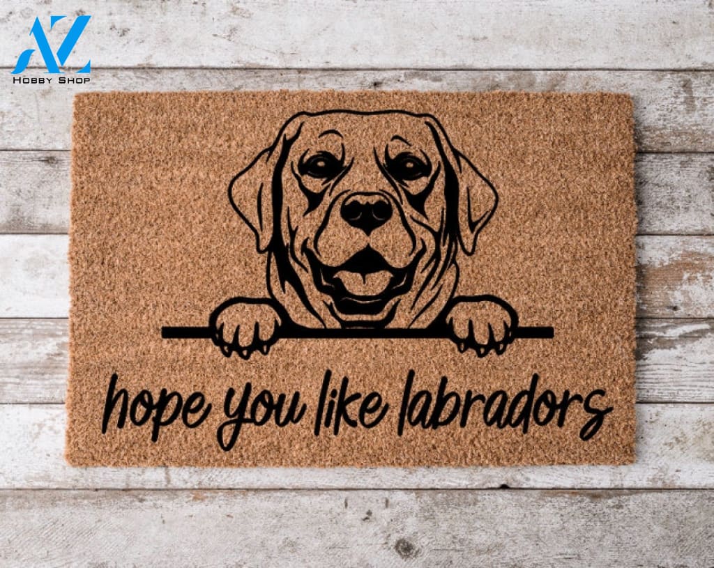 Hope You Like Labrador Dogs Welcome Mat Perfect Gift for Dog Owner Pet Lover Personalized Doormat New Home Decor