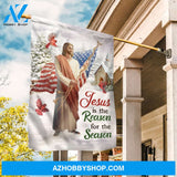 Jesus is King, Big US flag, Cardinal painting, Jesus is the reason for the season - Jesus Flag