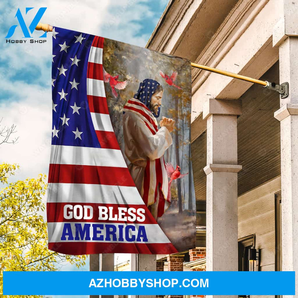 Jesus painting, Pray for healing, Red cardinal, God bless America - Jesus Flag