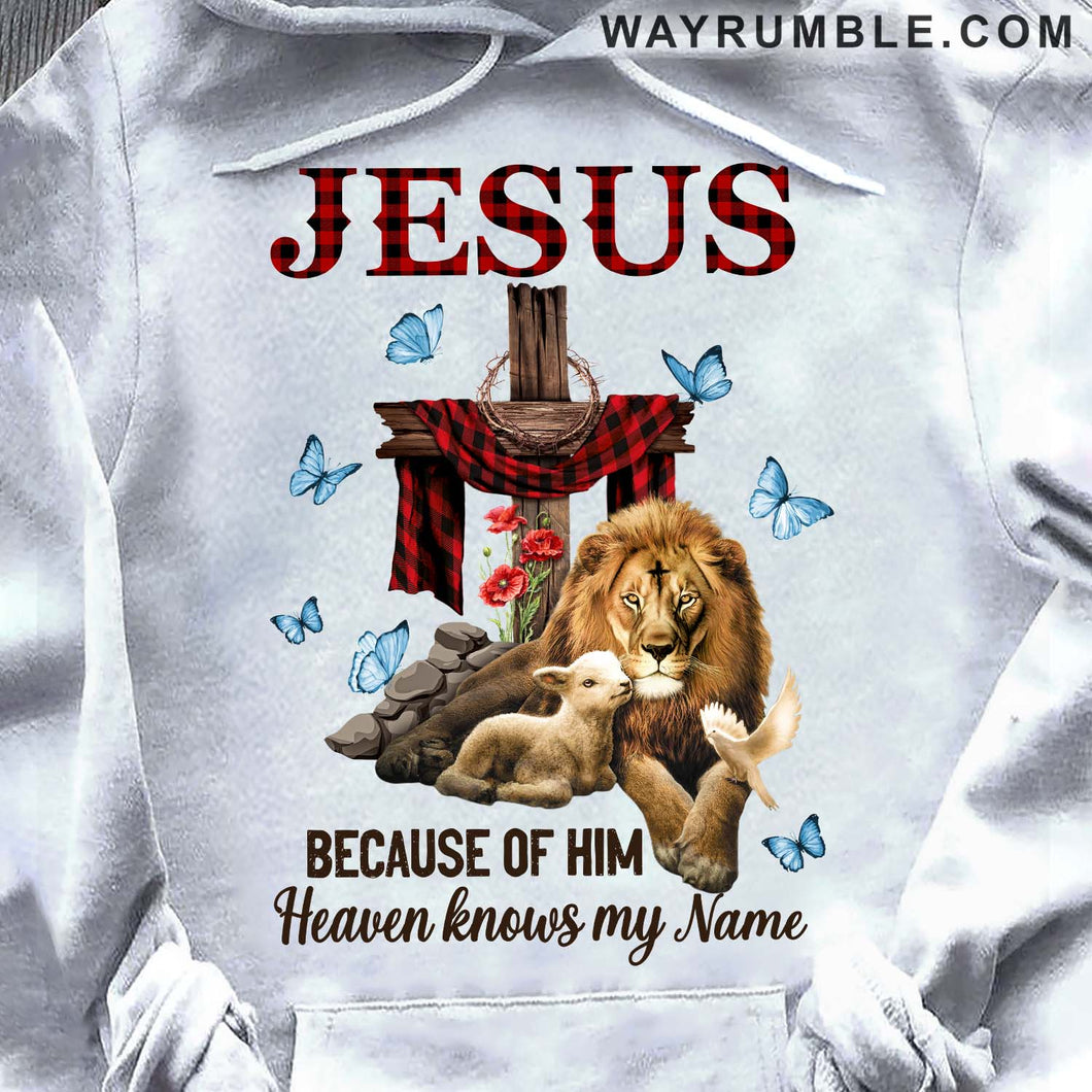 Lamb of God, Lion of Judah, The wooden cross, Because of him Heaven knows my name - Jesus Apparel