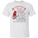 Jesus - Cardinal - I can only imagine - Apparel