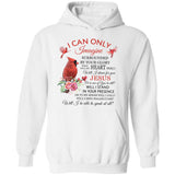 Jesus - Cardinal - I can only imagine - Apparel