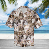 Norwegian Forest Cat Brown Best Design Hawaiian Shirt For Men Women