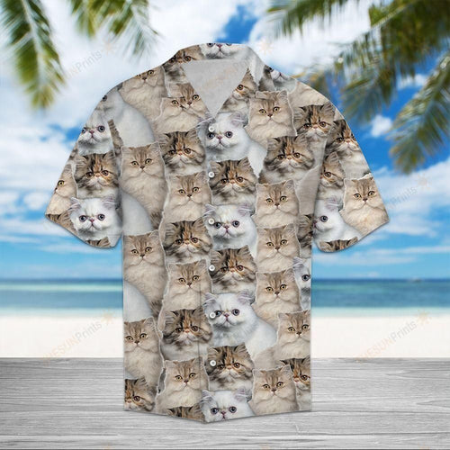 Persian Cat Brown Unique Design Hawaiian Shirt For Men Women Shirt