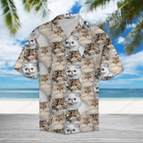 Persian Cat Brown Unique Design Hawaiian Shirt For Men Women Shirt