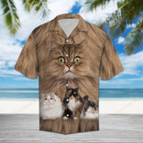 Persian Cat Brown Unique Design Hawaiian Shirt For Men Women
