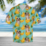Tropical Banana Australian Shepherd Turquoise Unique Design Hawaiian Shirt