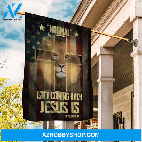 Lion drawing, King of Kings, Cross symbol, US flag, Normal isn't coming back, Jesus is - Jesus Flag