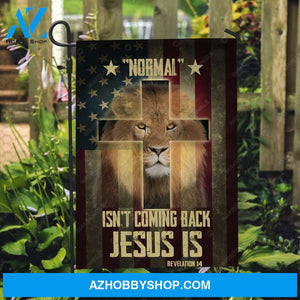 Lion drawing, King of Kings, Cross symbol, US flag, Normal isn't coming back, Jesus is - Jesus Flag