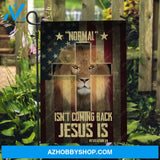 Lion drawing, King of Kings, Cross symbol, US flag, Normal isn't coming back, Jesus is - Jesus Flag