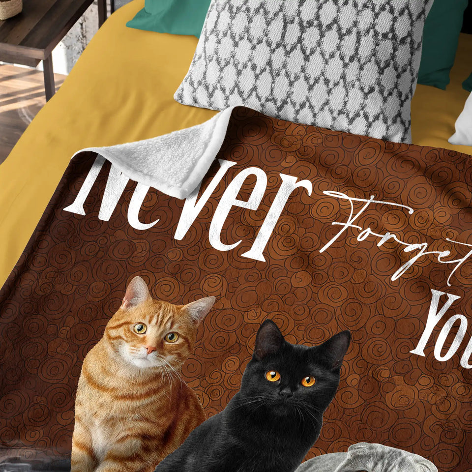 Cat Tiger Reflection Blanket – Never Forget Who You Are Gift