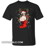 Great Dane, amazing Christmas gift - A lovely reindeer in a sock Dog Apparel