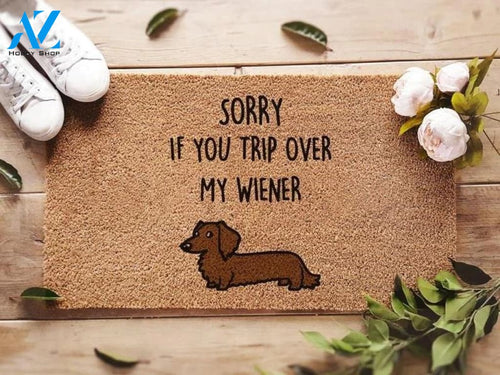 Outdoor Mat- Sorry If You Trip Over My Wiener Lovely Dachshund Doormat Home Decor