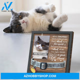 Personalized Dog Memorial Gifts 8X8 Picture Frame With Collar Holder Custom Cat Name Date Loss Of