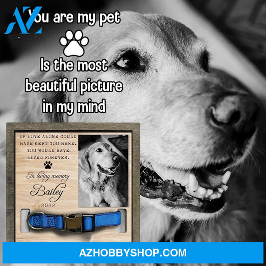Personalized Dog Memorial Gifts 8X8 Picture Frame With Collar Holder Custom Cat Name Date Loss Of