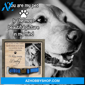 Personalized Dog Memorial Gifts 8X8 Picture Frame With Collar Holder Custom Cat Name Date Loss Of