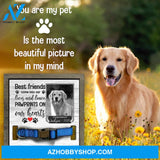 Personalized Dog Memorial Gifts 8X8 Picture Frame With Collar Holder Custom Cat Name Date Loss Of