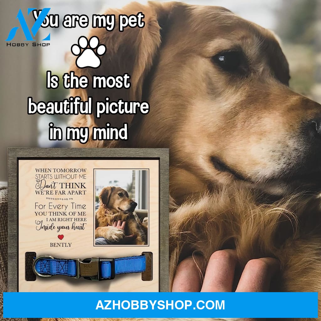 Personalized Dog Memorial Gifts 8X8 Picture Frame With Collar Holder Custom Cat Name Date Loss Of