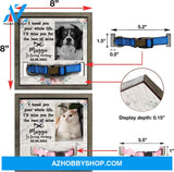 Personalized Dog Memorial Gifts 8X8 Picture Frame With Collar Holder Custom Cat Name Date Loss Of