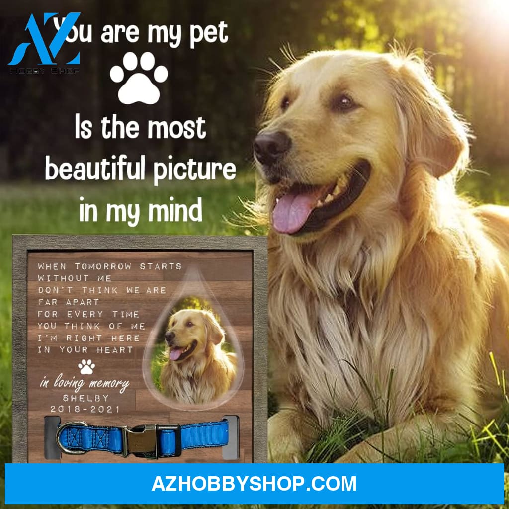 Personalized Dog Memorial Gifts 8X8 Picture Frame With Collar Holder Custom Cat Name Date Loss Of