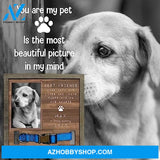 Personalized Dog Memorial Gifts 8X8 Picture Frame With Collar Holder Custom Cat Name Date Loss Of