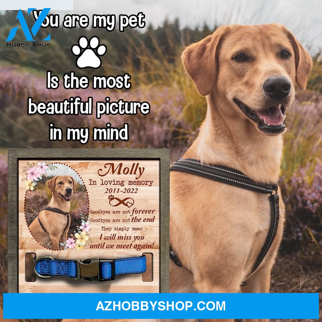 Personalized Dog Memorial Gifts 8X8 Picture Frame With Collar Holder Custom Cat Name Date Loss Of