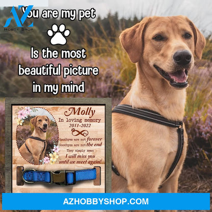 Personalized Dog Memorial Gifts 8X8 Picture Frame With Collar Holder Custom Cat Name Date Loss Of