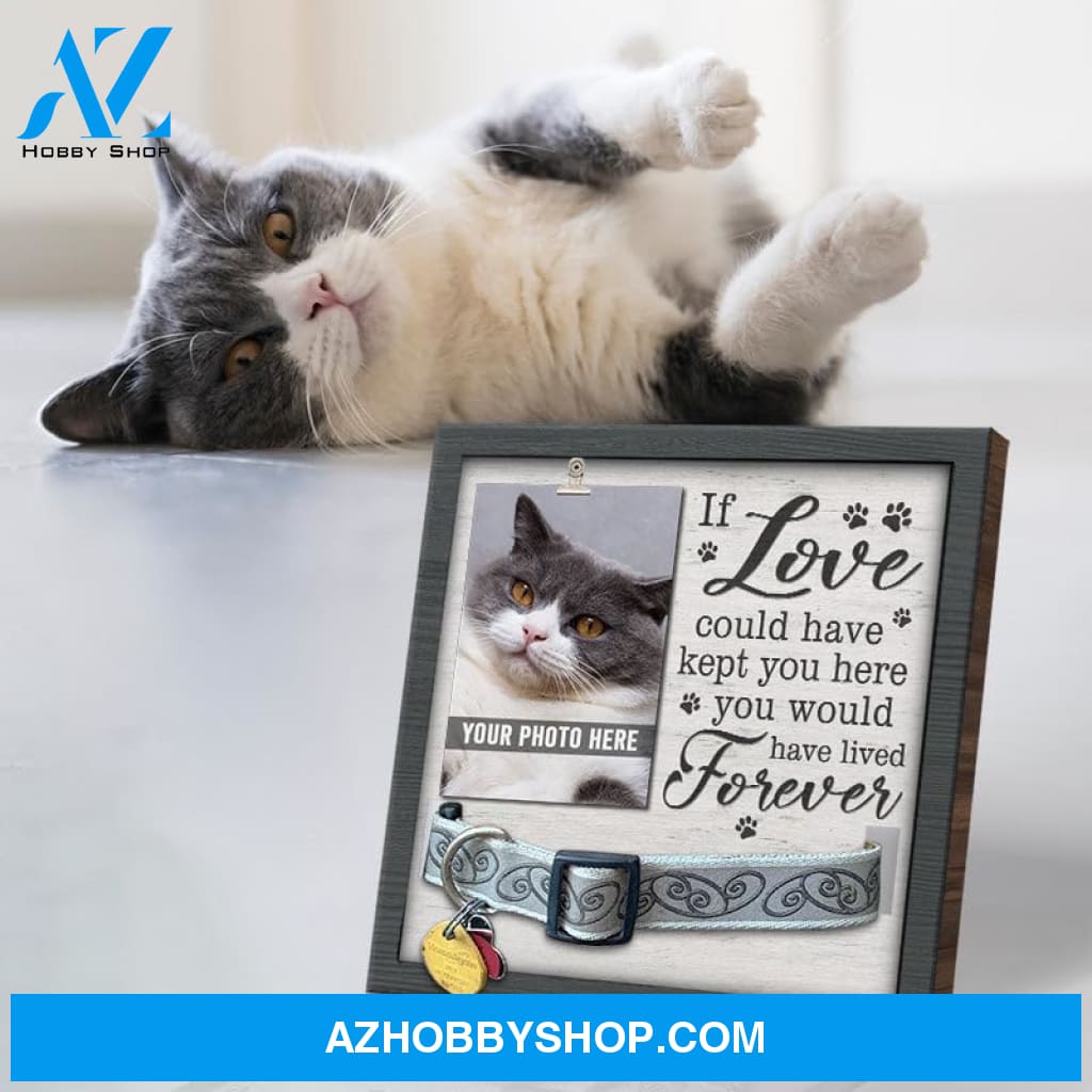 Personalized Dog Memorial Gifts 8X8 Picture Frame With Collar Holder Custom Cat Name Date Loss Of