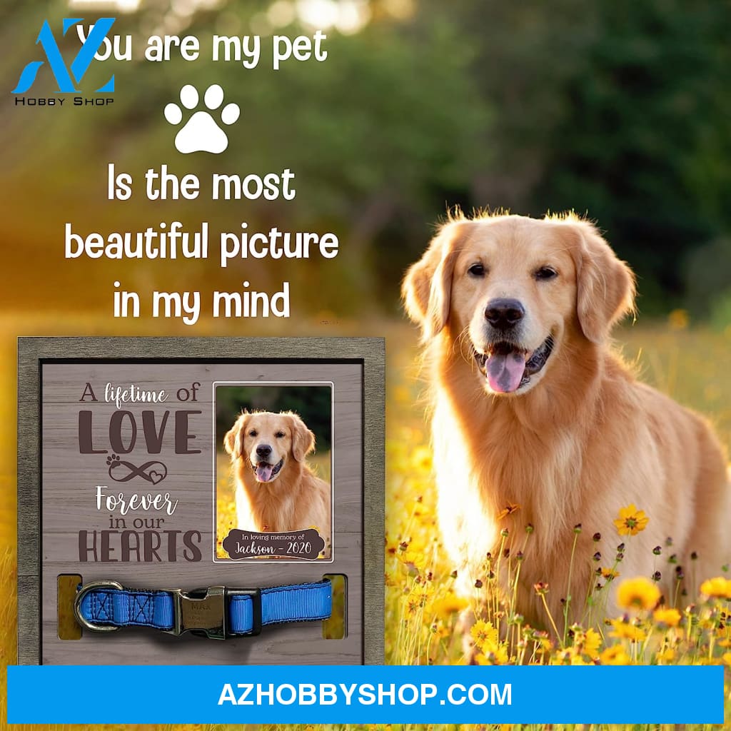 Personalized Dog Memorial Gifts 8X8 Picture Frame With Collar Holder Custom Cat Name Date Loss Of