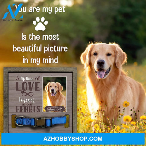 Personalized Dog Memorial Gifts 8X8 Picture Frame With Collar Holder Custom Cat Name Date Loss Of