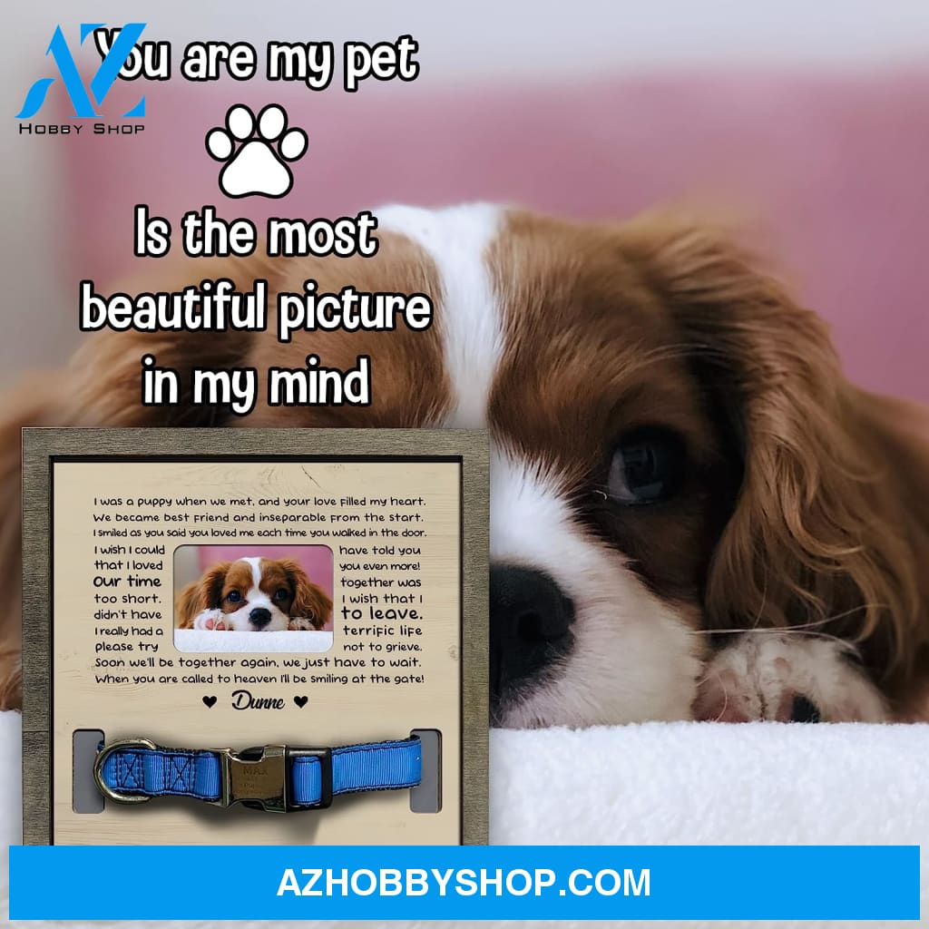 Personalized Dog Memorial Gifts 8X8 Picture Frame With Collar Holder Custom Cat Name Date Loss Of