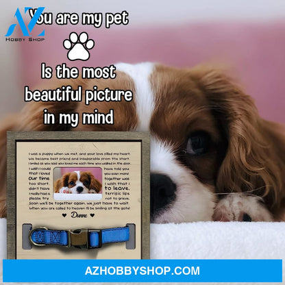 Personalized Dog Memorial Gifts 8X8 Picture Frame With Collar Holder Custom Cat Name Date Loss Of