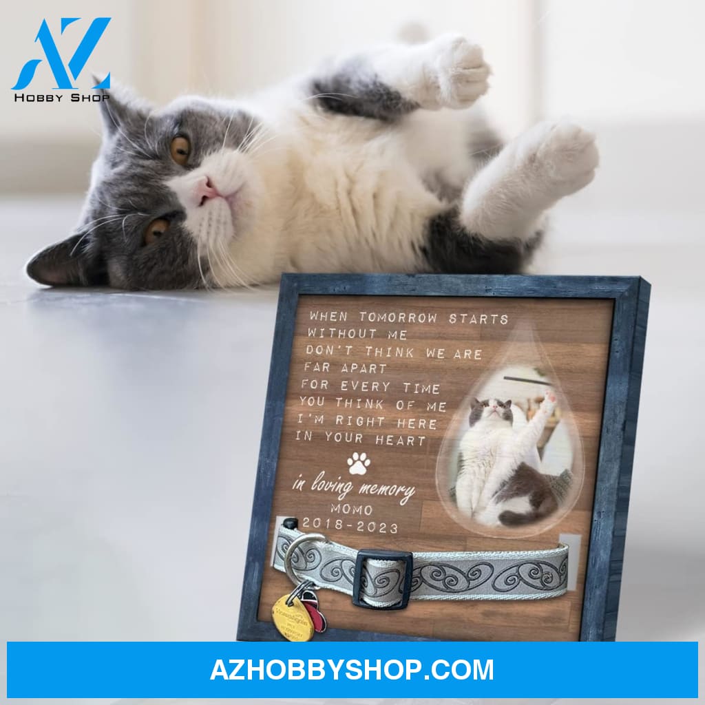 Personalized Dog Memorial Gifts 8X8 Picture Frame With Collar Holder Custom Cat Name Date Loss Of