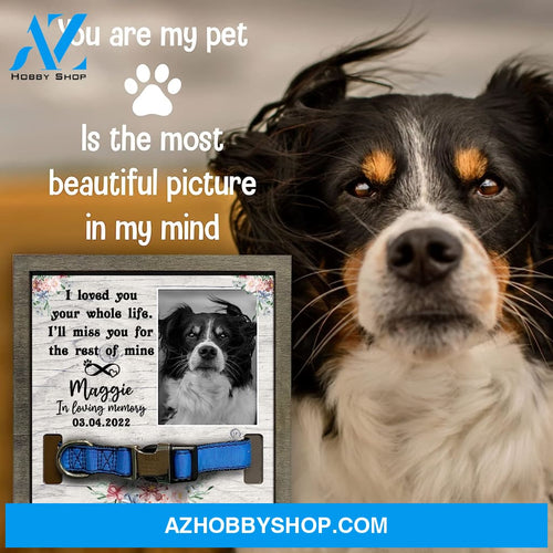 Personalized Dog Memorial Gifts 8X8 Picture Frame With Collar Holder Custom Cat Name Date Loss Of