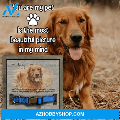 Personalized Dog Memorial Gifts 8X8 Picture Frame With Collar Holder Custom Cat Name Date Loss Of