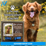 Personalized Dog Memorial Gifts 8X8 Picture Frame With Collar Holder Custom Cat Name Date Loss Of