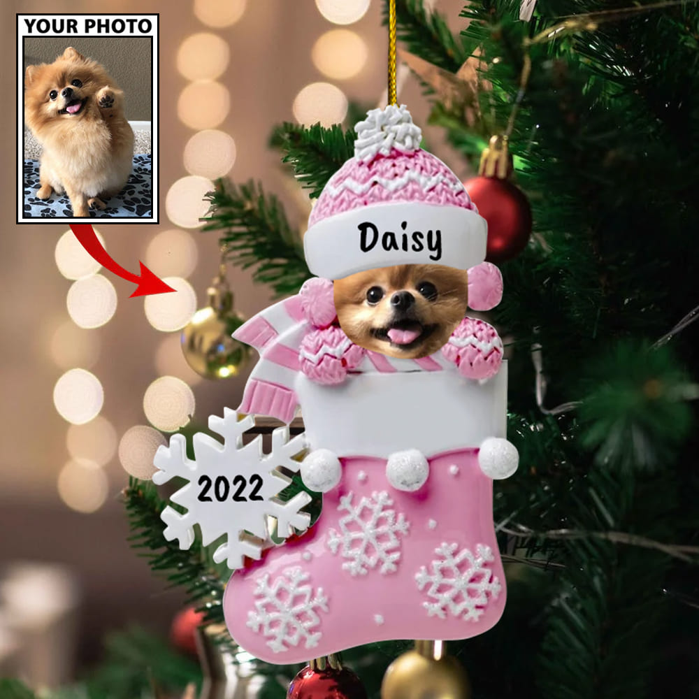 Personalized Gift For Pet Lovers Pet In Christmas Sock 2022